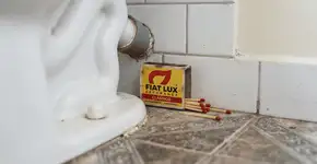 Foto: (Imagem sem texto alternativo disponivel ID [2768273])