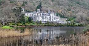 Foto: (Imagem sem texto alternativo disponivel ID [770359])