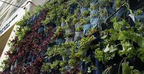 Foto: (Imagem sem texto alternativo disponivel ID [865926])