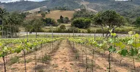 Serra Negra além do óbvio: turismo rural e experiências no campo