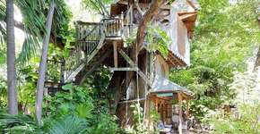 Foto: (Imagem sem texto alternativo disponivel ID [1868379])