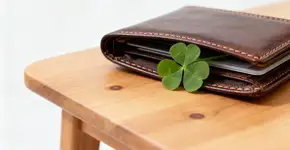 Trevo na carteira e semente de romã atraem dinheiro