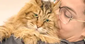 Foto: (Foto: Divulgação.)