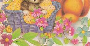 Foto: (Imagem sem texto alternativo disponivel ID [887524])