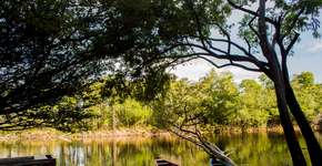 Foto: (Wikimedia Commons)