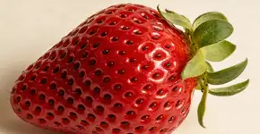 Foto: (Imagem sem texto alternativo disponivel ID [2707520])