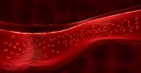 Leguminosa é forte aliada no combate à anemia por falta de ferro