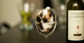 12 fotos que provam que gatos conseguem dormir em qualquer lugar