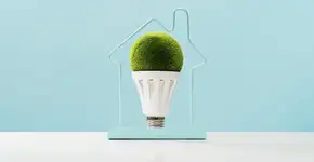 5 dicas para economizar na conta de luz de forma sustentável