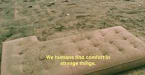 Foto: (Imagem sem texto alternativo disponivel ID [1864806])