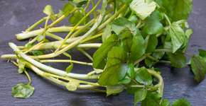 Por que o agrião é considerado o alimento mais saudável do mundo?