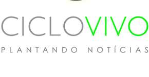 Qatar planeja hotéis flutuantes e “verdes” para Copa de 2022