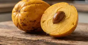 Foto: (Imagem sem texto alternativo disponivel ID [2745191])