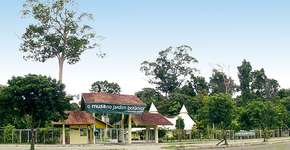 Foto: (Imagem sem texto alternativo disponivel ID [626791])