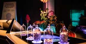 Sesc Santo André recebe a exposição Darwin, o Original