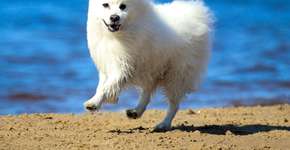 Foto: (Imagem sem texto alternativo disponivel ID [2599157])