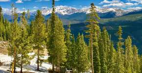 Colorado tem cenários deslumbrantes nas 4 estações do ano