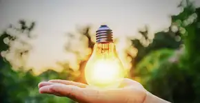 Foto: (Getty Images/iStockphoto)