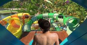 Foto: (Divulgação)