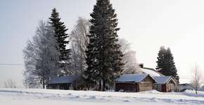 Como é a rotina no país considerado o mais feliz do planeta