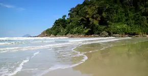 Foto: (Istock/CarlaNichiata)