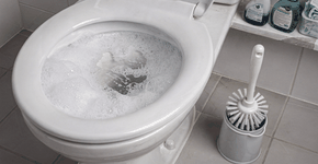 Foto: (Imagem sem texto alternativo disponivel ID [2734481])