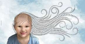 Foto: (Imagem sem texto alternativo disponivel ID [567671])