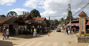 Foto: (Sidney de Almeida/iStock)