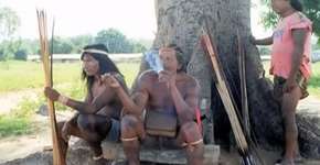 História dos povos indígenas e africanos