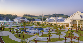 Foto: (Divulgação)