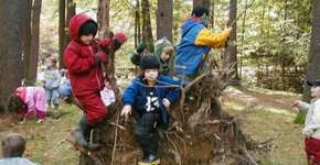 Um dia por semana 100% dedicado à exploração da natureza: conheça essa escola