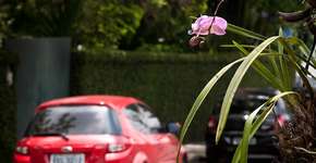 Foto: (Imagem sem texto alternativo disponivel ID [348420])