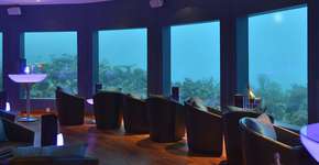 Foto: (Imagem sem texto alternativo disponivel ID [1393917])