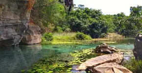 Foto: (Istock/Agata Fetschenko)