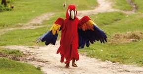 Existe um bloquinho no Pará que homenageia os animais da Amazônia