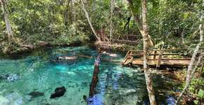 Foto: (Márcio Diniz/Catraca Livre)