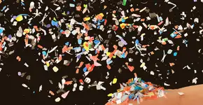 Foto: (Grafissimo/istock)