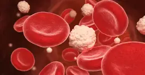 Qual a fruta que ajuda a diminuir o açúcar no sangue?