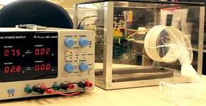 Armadilha inovadora pode ajudar no combate à dengue