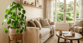 Foto: (Imagem sem texto alternativo disponivel ID [2759968])