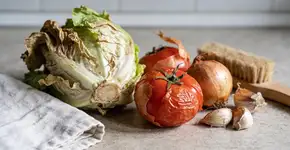 Foto: (Imagem sem texto alternativo disponivel ID [2727546])