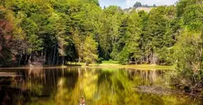 Cidade a menos de 200 km de São Paulo tem refúgio entre lagos e cedros centenários