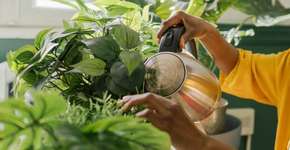 Foto: (Istock/AleksandarNakic)