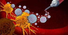 Foto: (wildpixel/istock)