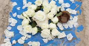 Foto: (Imagem sem texto alternativo disponivel ID [1162064])