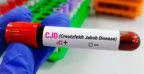 Foto: (iStock/Md Saiful Islam Khan)