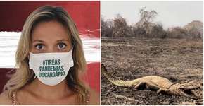 Luisa Mell critica Bolsonaro por queimadas no pantanal e é atacada