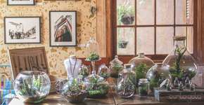 Foto: (Imagem sem texto alternativo disponivel ID [618700])