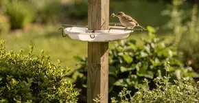 Foto: (Imagem sem texto alternativo disponivel ID [2734199])