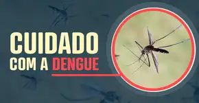 Foto: (Imagem sem texto alternativo disponivel ID [1923798])